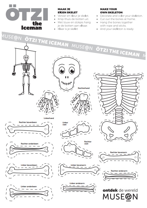 Ötzi Skelet