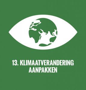 Logo SDG 13: klimaatverandering aanpakken