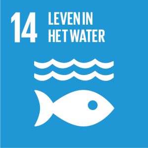 Logo SDG 14
