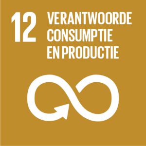 Logo SDG 12