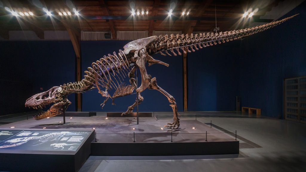 T. rex, foto: Naturalis