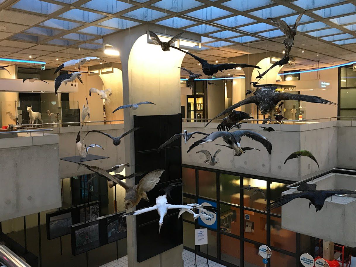 Vogelvlucht in het Museon