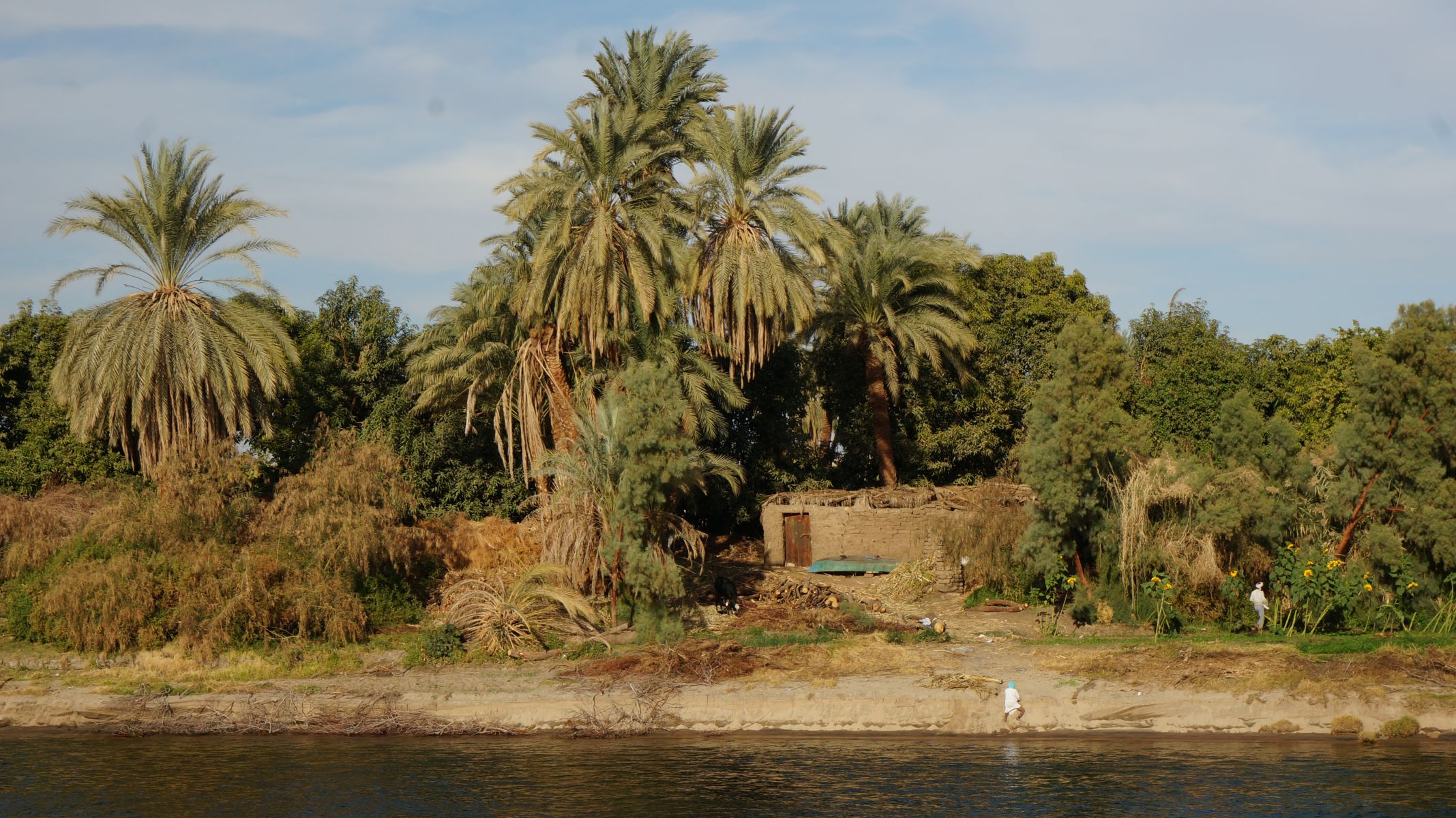 De Nijl in Egypte (Foto: Tom Buijtendorp)